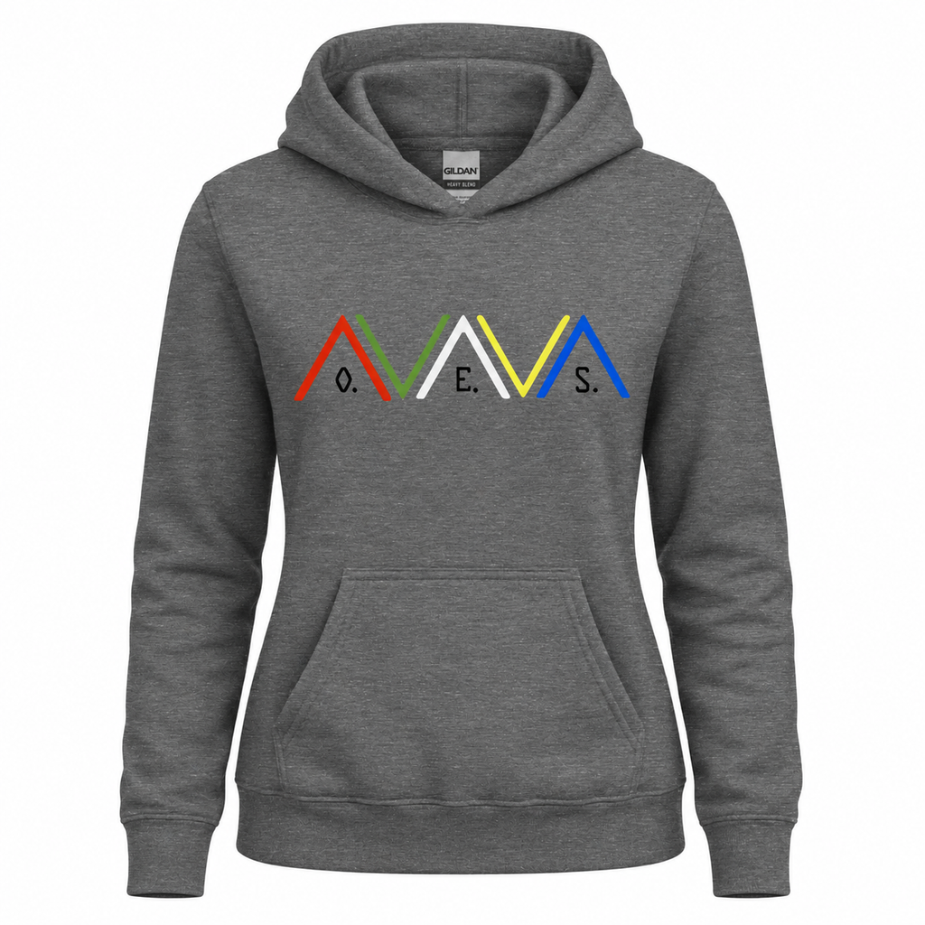 Gray hoodie with colorful logo on a white background