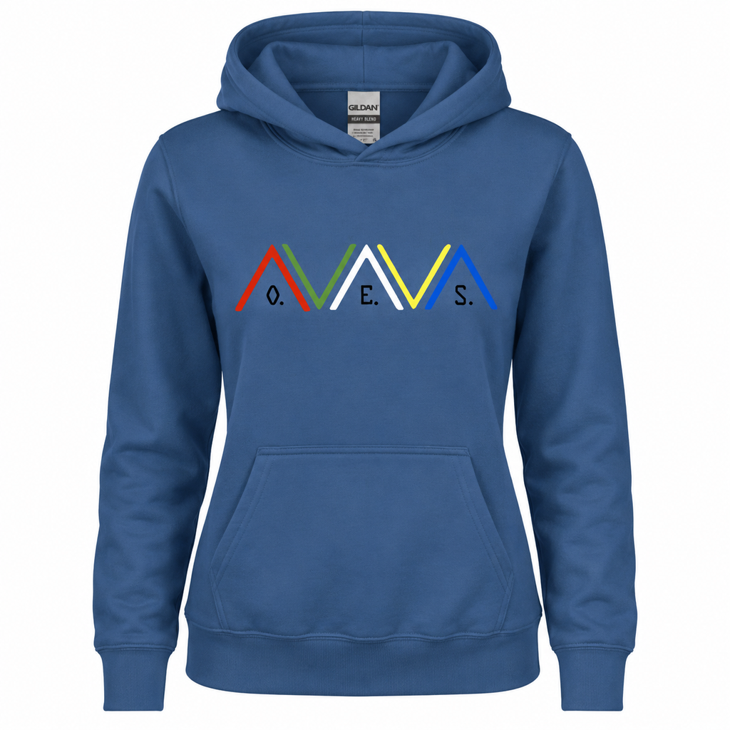 Blue hoodie with colorful logo and text on a white background