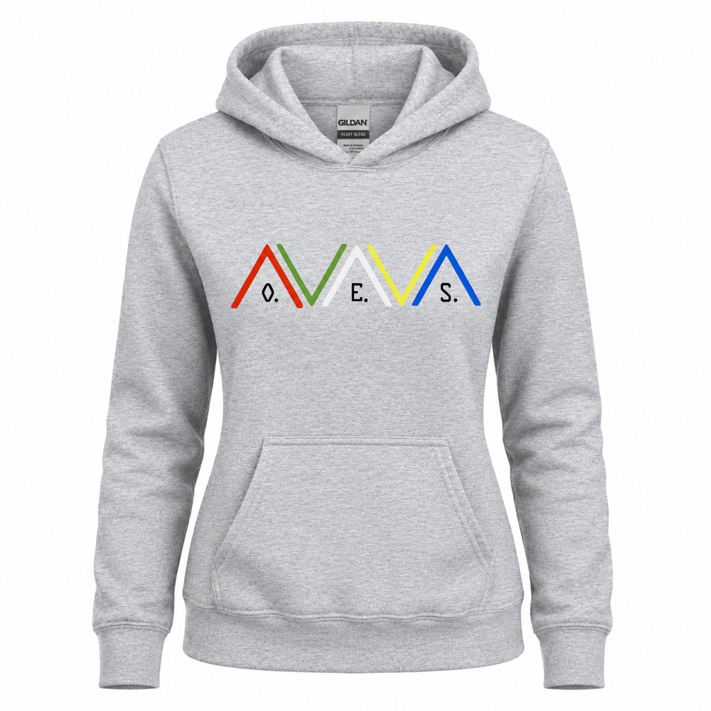 Gray hoodie with colorful logo on a white background
