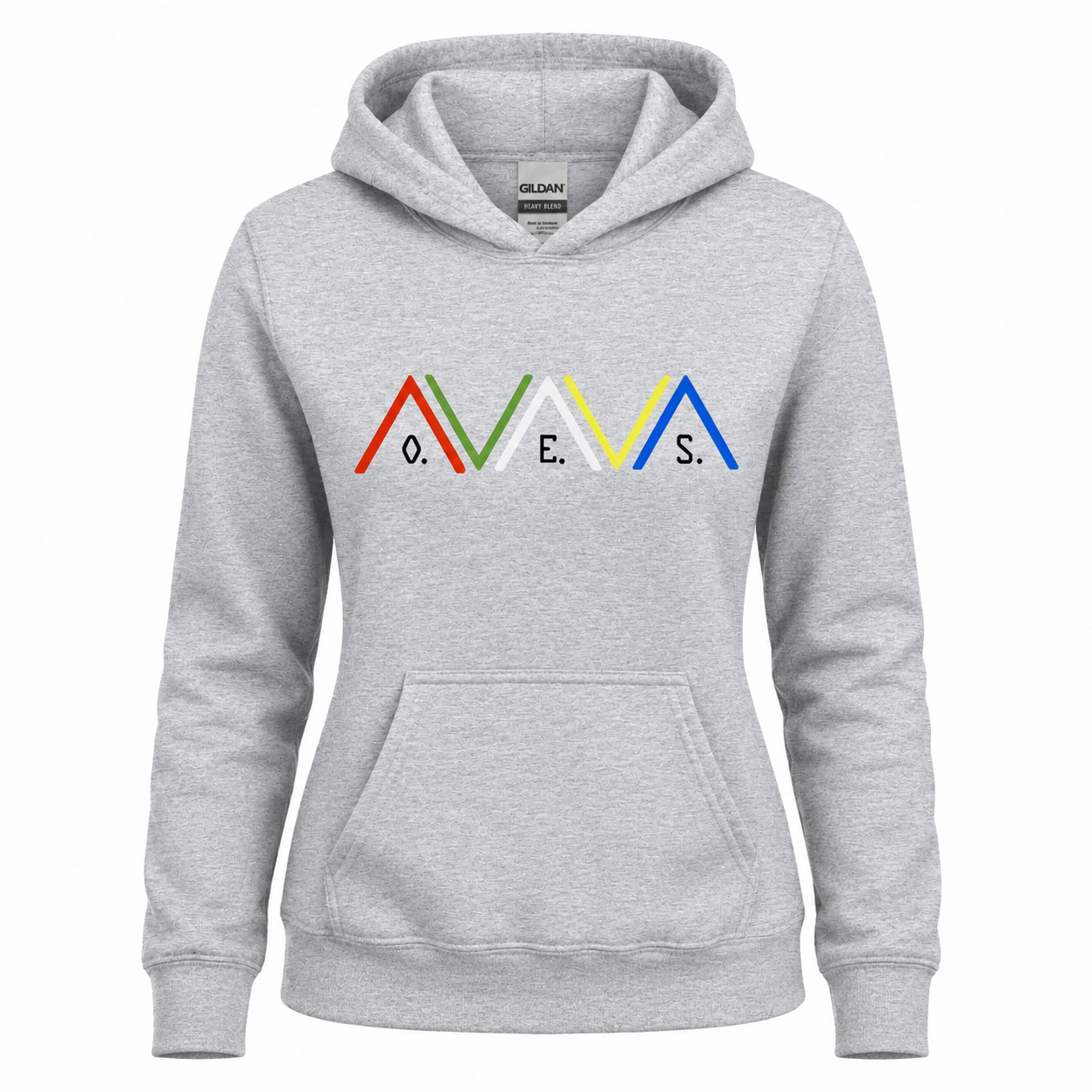 Gray hoodie with colorful logo on a white background