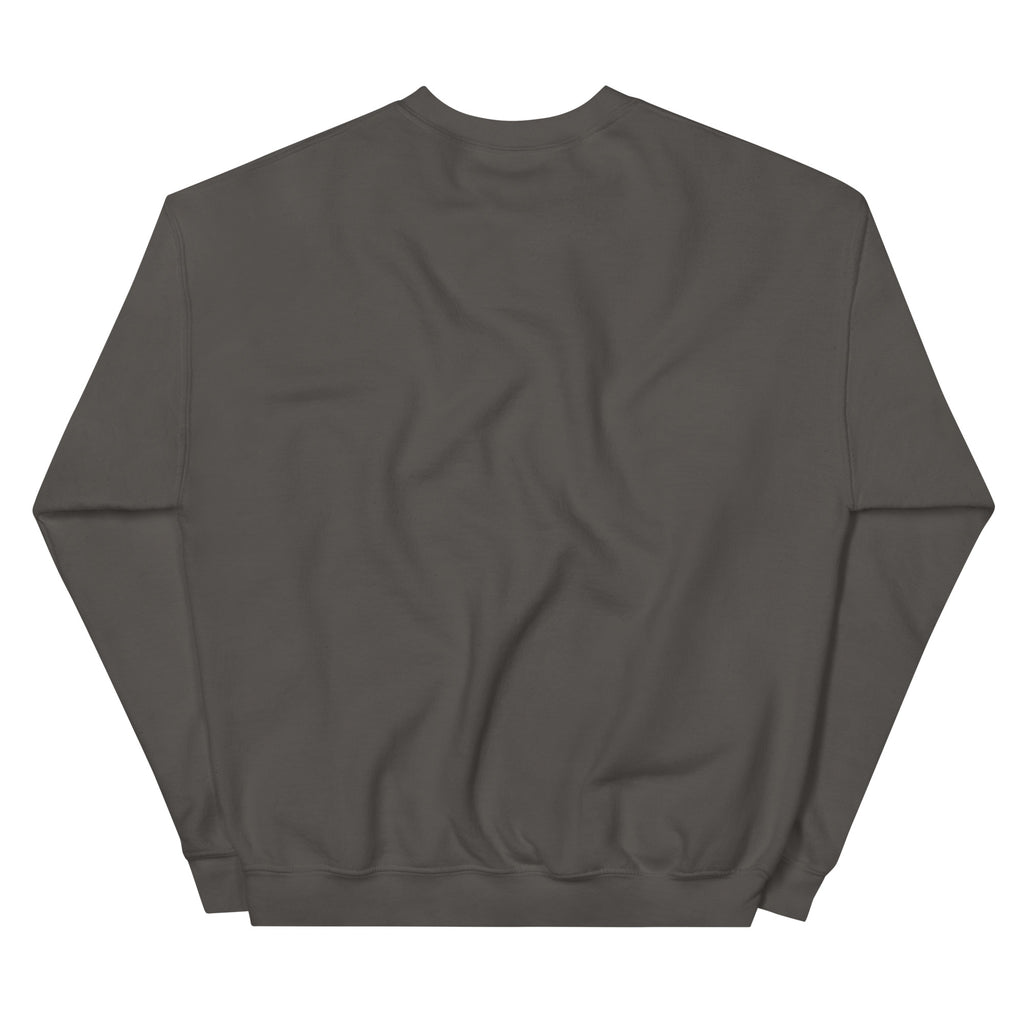 Dark gray sweatshirt on a white background